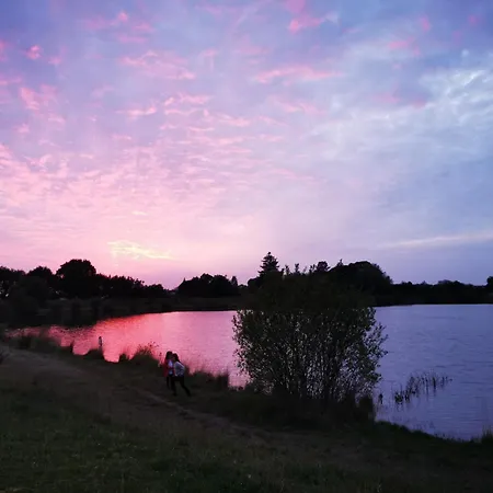 Sous La Canopee - Le Calme Au Bord Du *